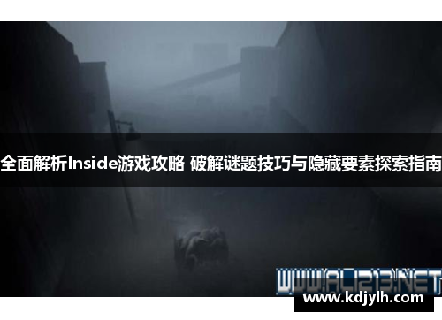 全面解析Inside游戏攻略 破解谜题技巧与隐藏要素探索指南