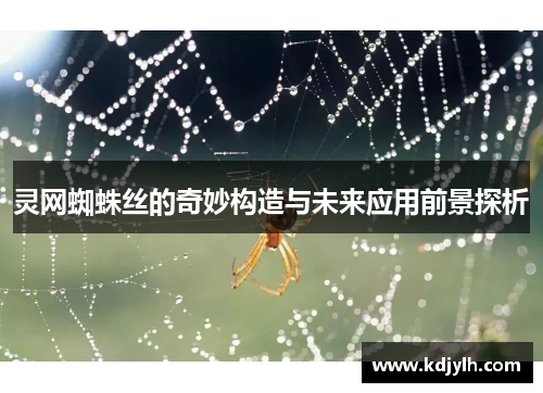 灵网蜘蛛丝的奇妙构造与未来应用前景探析